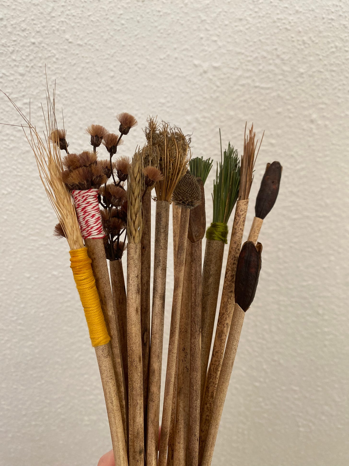 A handful of brushes made with various plants—pine needles, dried grass, Queen Anne’s lace, daylily pods.