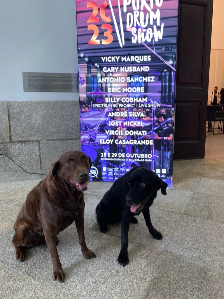 Two labradors in front of a banner