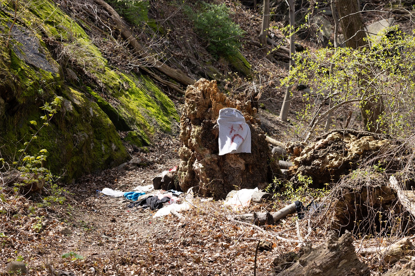 a brushy trail beside moss-covered rocks. in the center is the roots of a fallen tree strewn with trash, a t-shirt with a frowny face with xes for eyes painted on hanging over it.