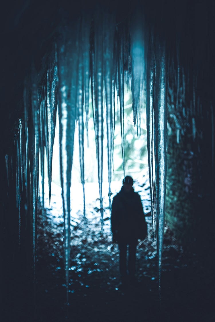 Man walking in the woods.