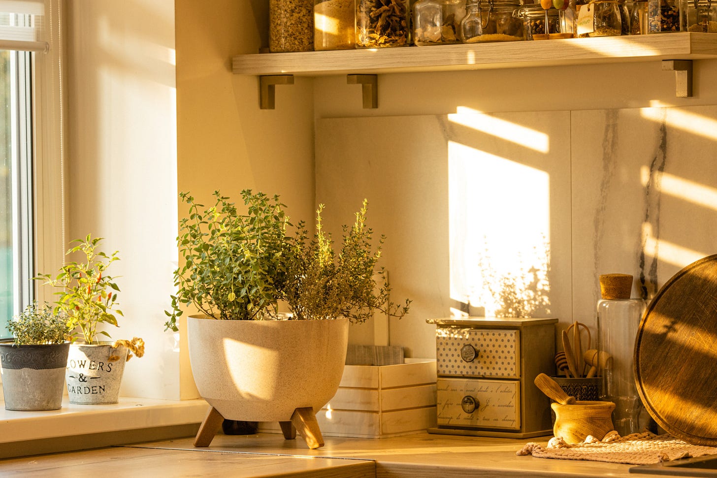 Sunny kitchen corner with potted plants, jars, and kitchen tools on a wooden counter and shelves. Warm natural light casts shadows across the scene.