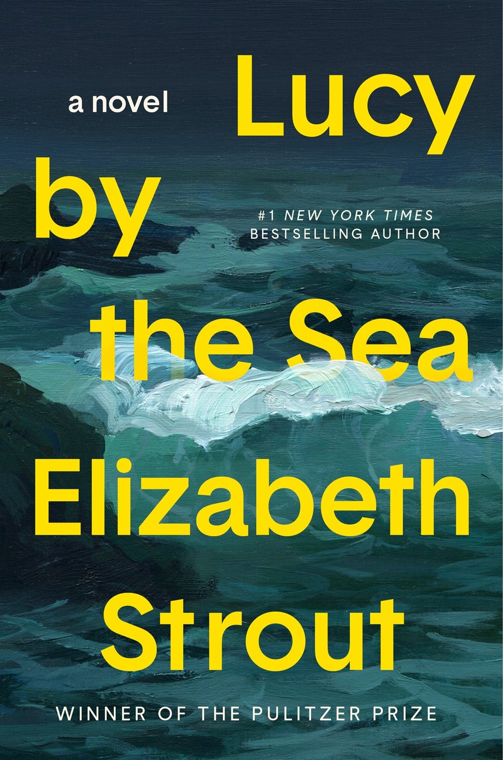 Lucy by the Sea by Elizabeth Strout | Goodreads