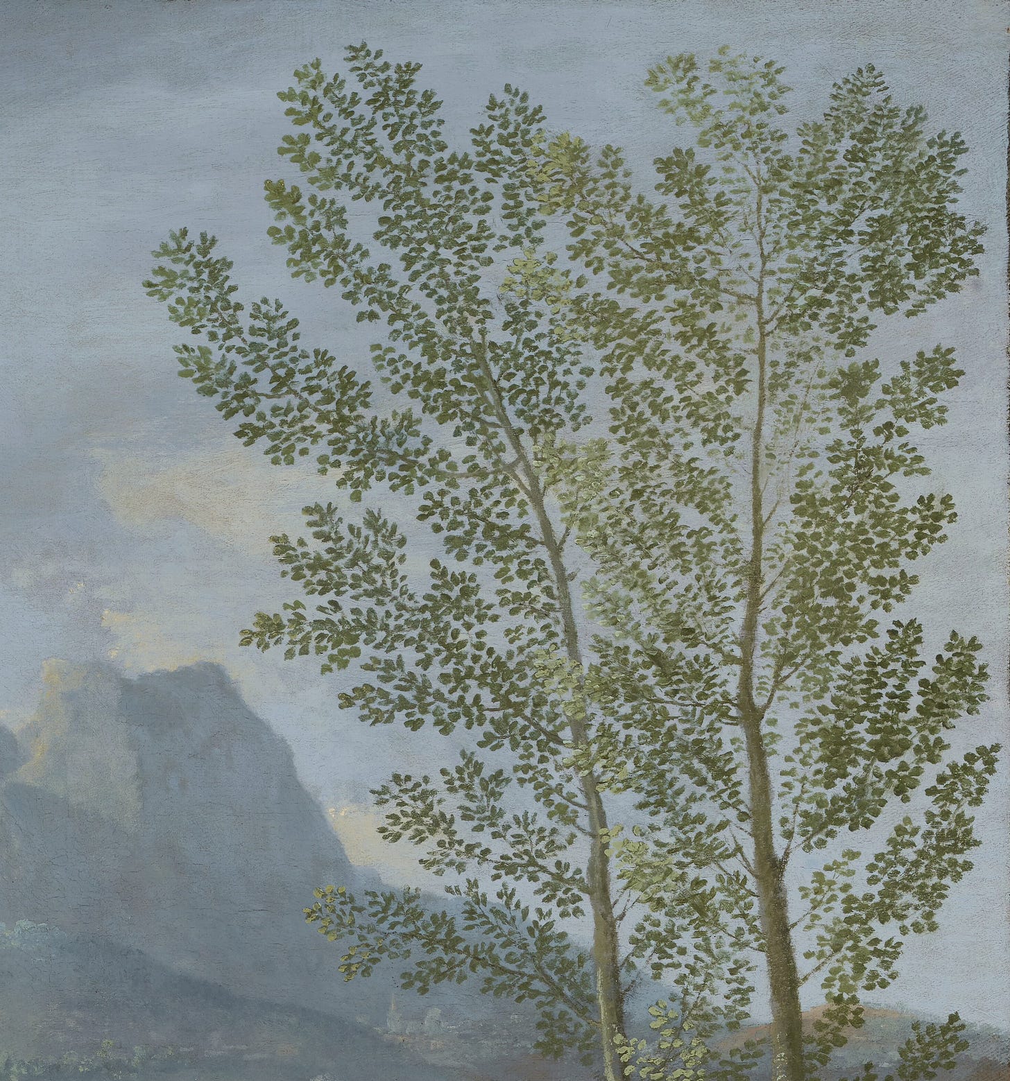 Detail of the painting Landscape With a Calm by Nicholas Poussin, showing the distinct, open leaves of a tree with a grey-blue sky in the background.