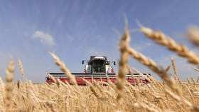 Russia sends free grain to two African countries