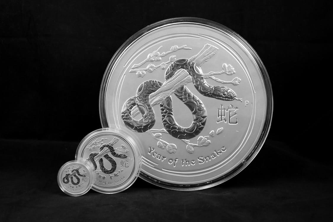 Free Close-up of intricately designed silver coins celebrating the Year of the Snake. Stock Photo