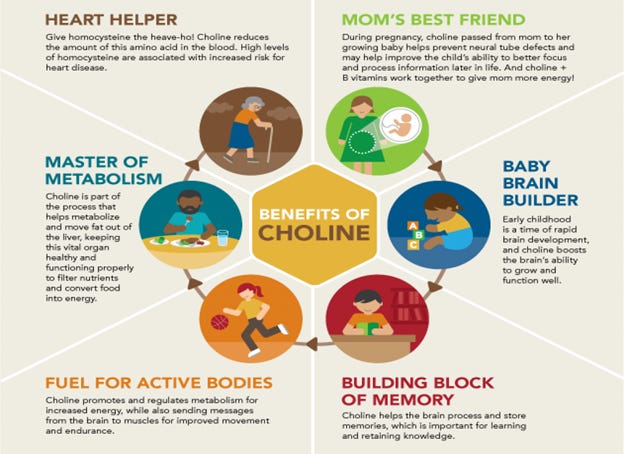 benefits of choline 