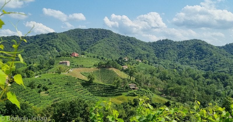 A picture of the gentle hills and vineyards of the Prosecco wine region in Italy