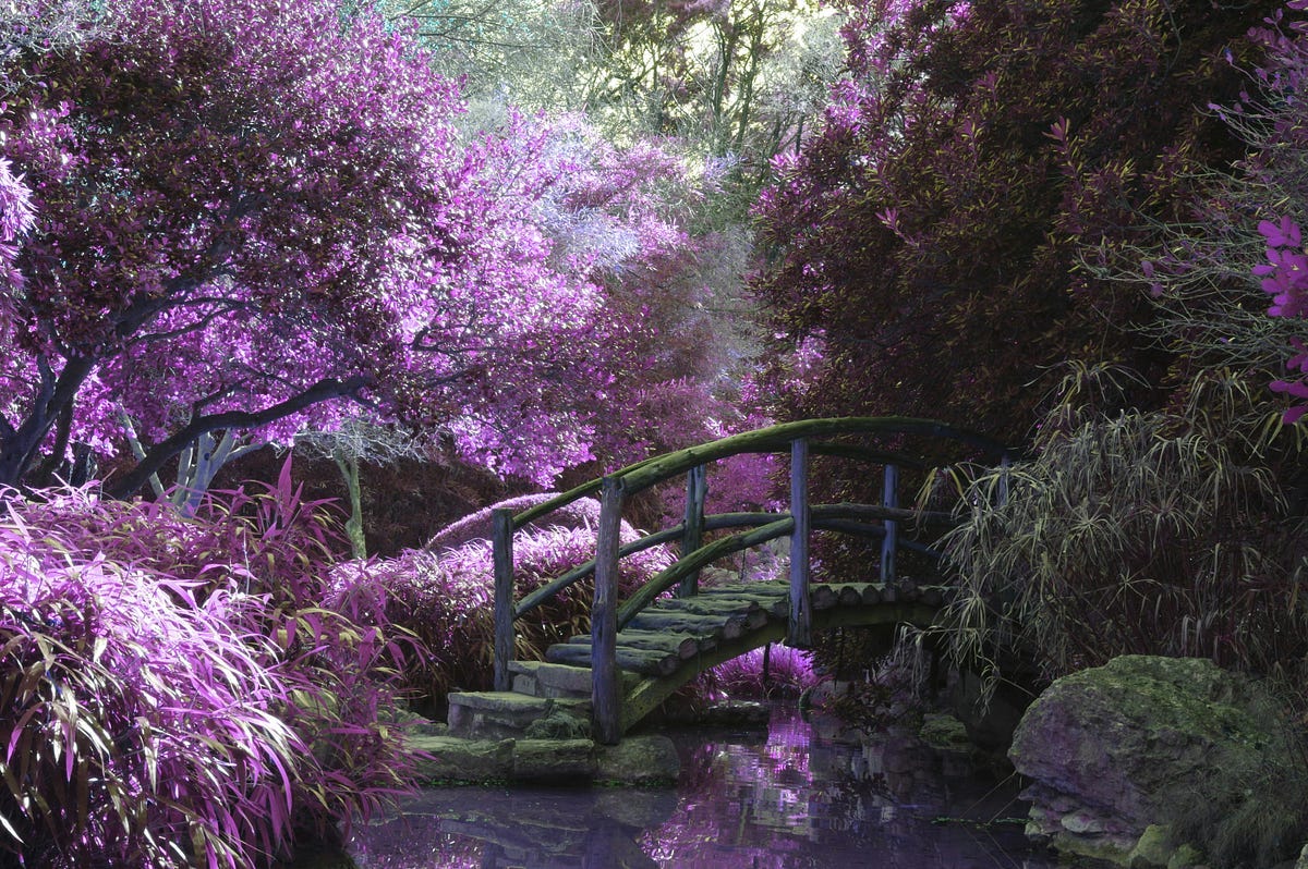 A magical scene A magical scene