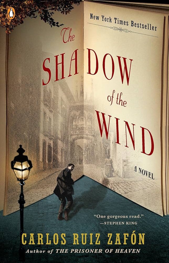 The Shadow of the Wind [Book]