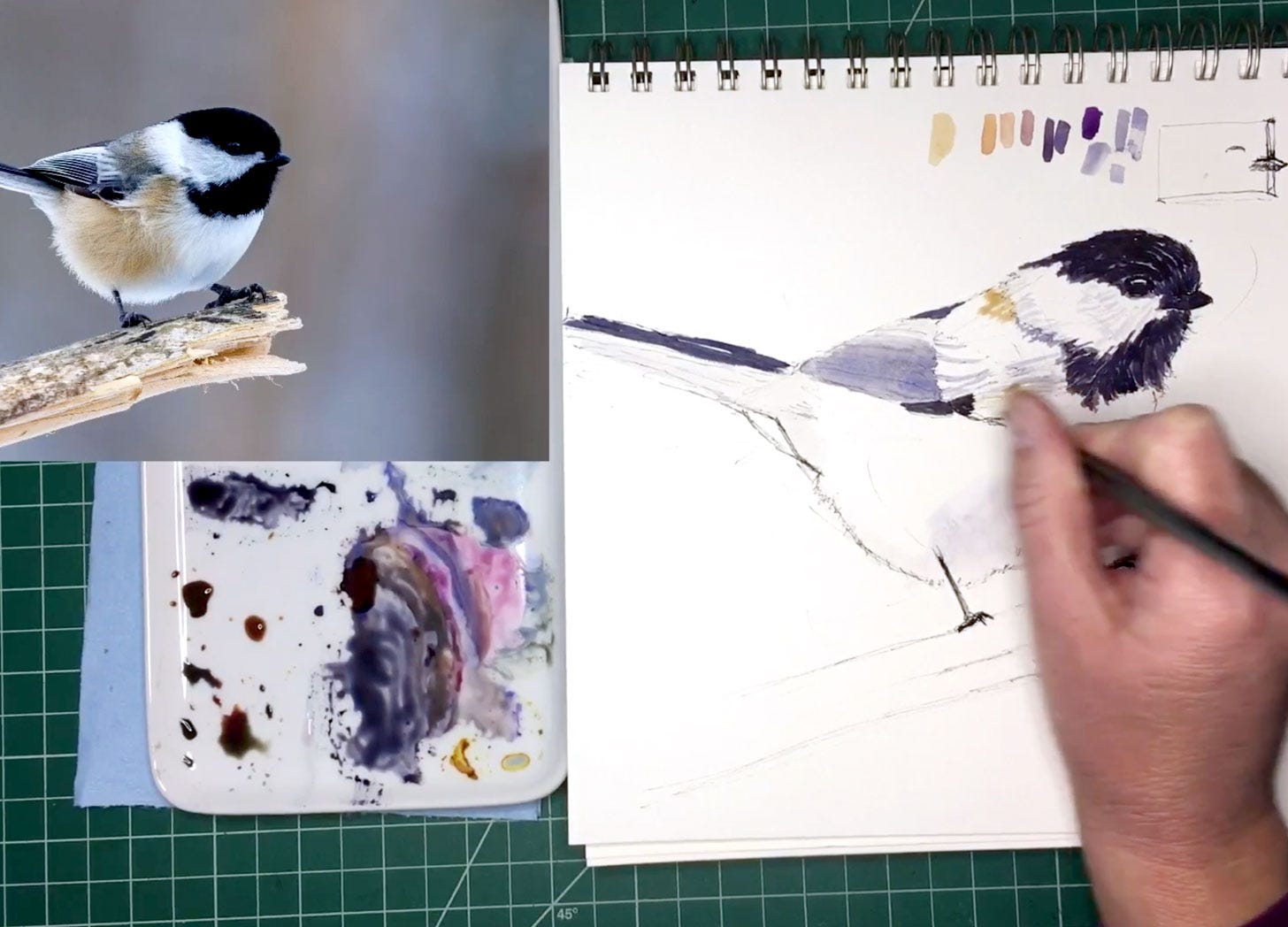 painting a black-capped chickadee in my sketchbook