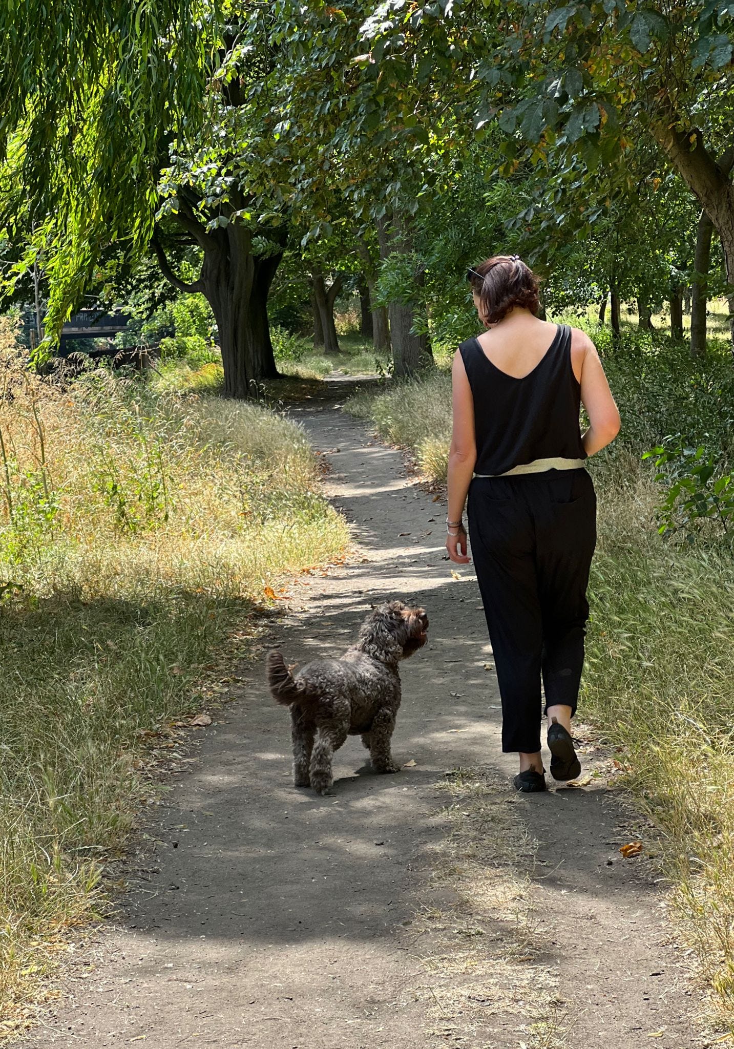 A woman and a dog walk along a mud path through some trees