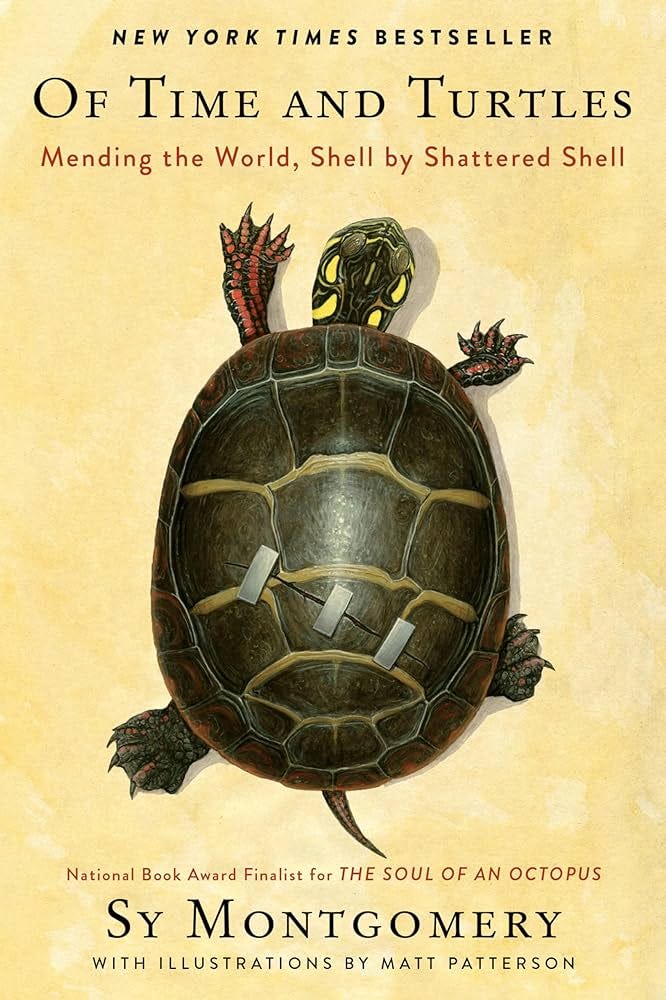 Of Time and Turtles: Mending the World, Shell by Shattered Shell:  Montgomery, Sy, Patterson, Matt: 9780358458180: Amazon.com: Books
