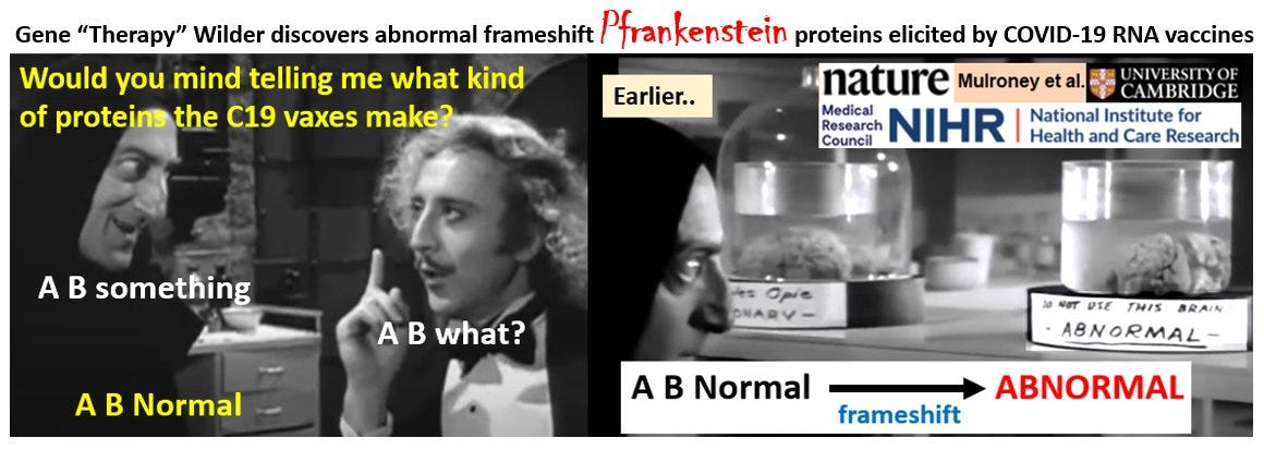 David Wiseman PhD, MRPharmS Smoking Syringe @AdhesionsOrg Gene “Therapy” Wilder discovers abnormal frameshift #Pfrankenstein proteins elicited by COVID-19 RNA vaccines. Would you take a vaccine that makes your body produce uncharacterized Pfrankenstein proteins? Where are the studies #FDA,   #Pfizer and #Moderna?