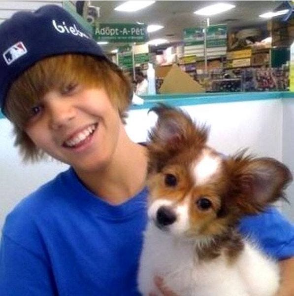 justin bieber dog sammy dead images 2014