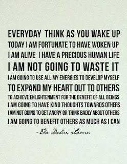 Everyday think as you wake up today I am fortunate to have woken up I am alive I have a precious human life I am not going to waste it I am going to use all my energies to develop myself to expand my heart out to others to achieve enlightenment for the benefit of all beings I am going to have kind thoughts towards others I am not going to get angry or think badly about others I am going to benefit others as much as I can. ~The Dalai Lama