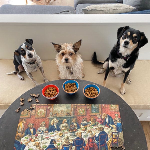 Dogs and puzzles