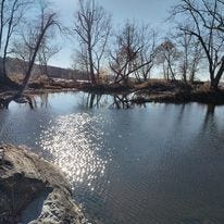 May be an image of body of water and tree