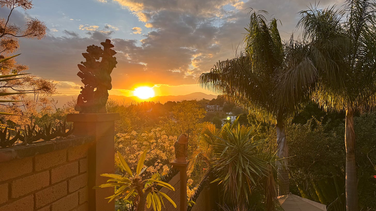 The sunset over trees in Oaxaca, Mexico.