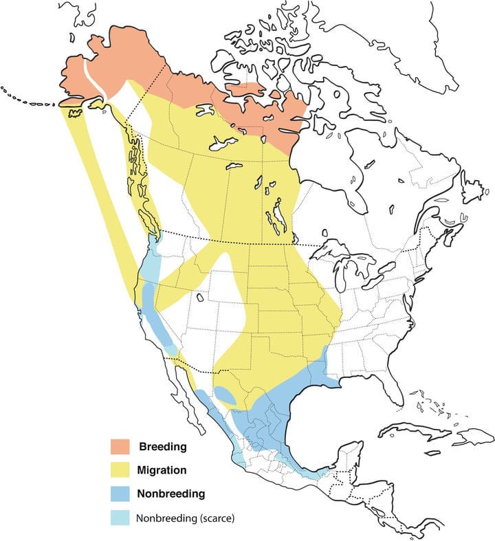 image of range map for Greater White-fronted Goose