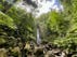 Syndicate Falls, Dominica