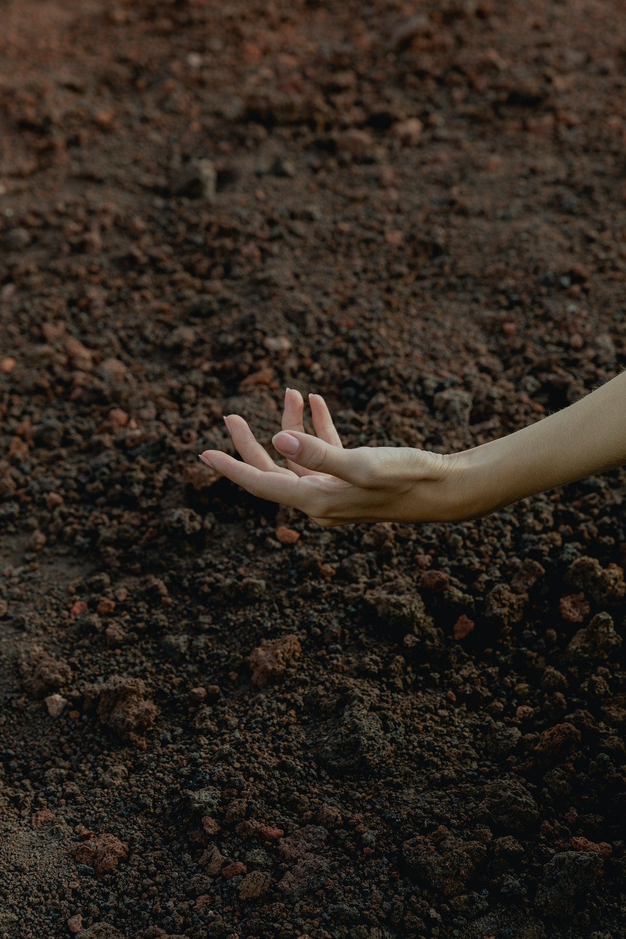 A woman's hand reaches toward the dirt, indicating something has been found.