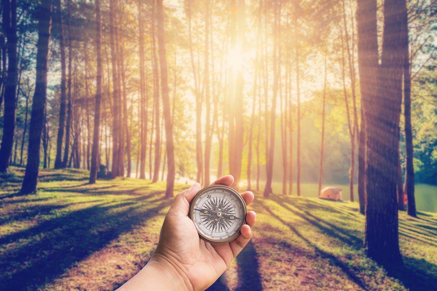 A hand holds a compass in front of a woodland scene. Sun shines through the trees.