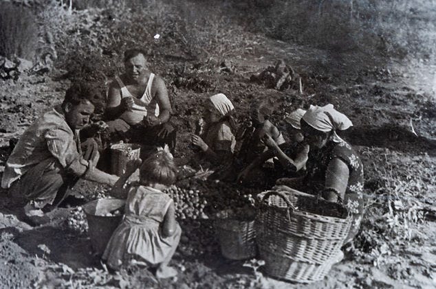 Black and white photo of a group of people seemingly sorting through fruit. The photo looks like it was taken in the pre second world war.