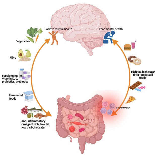Diagram of the connection between the brain and gut microbiota, emphasizing how different food groups impact mental health positively or negatively