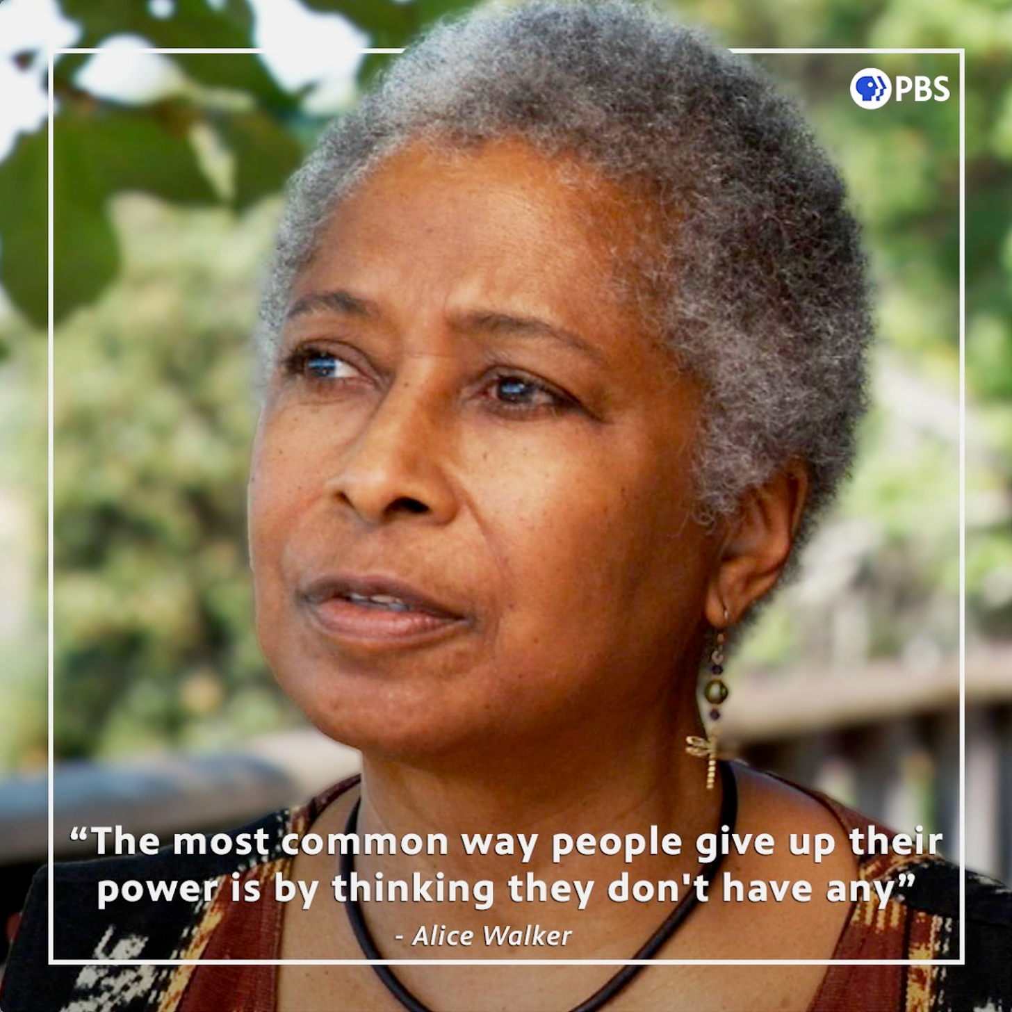 "The most common way people give up their power is by thinking they don't have any." - Alice Walker (photo of Alice Walker from PBS)