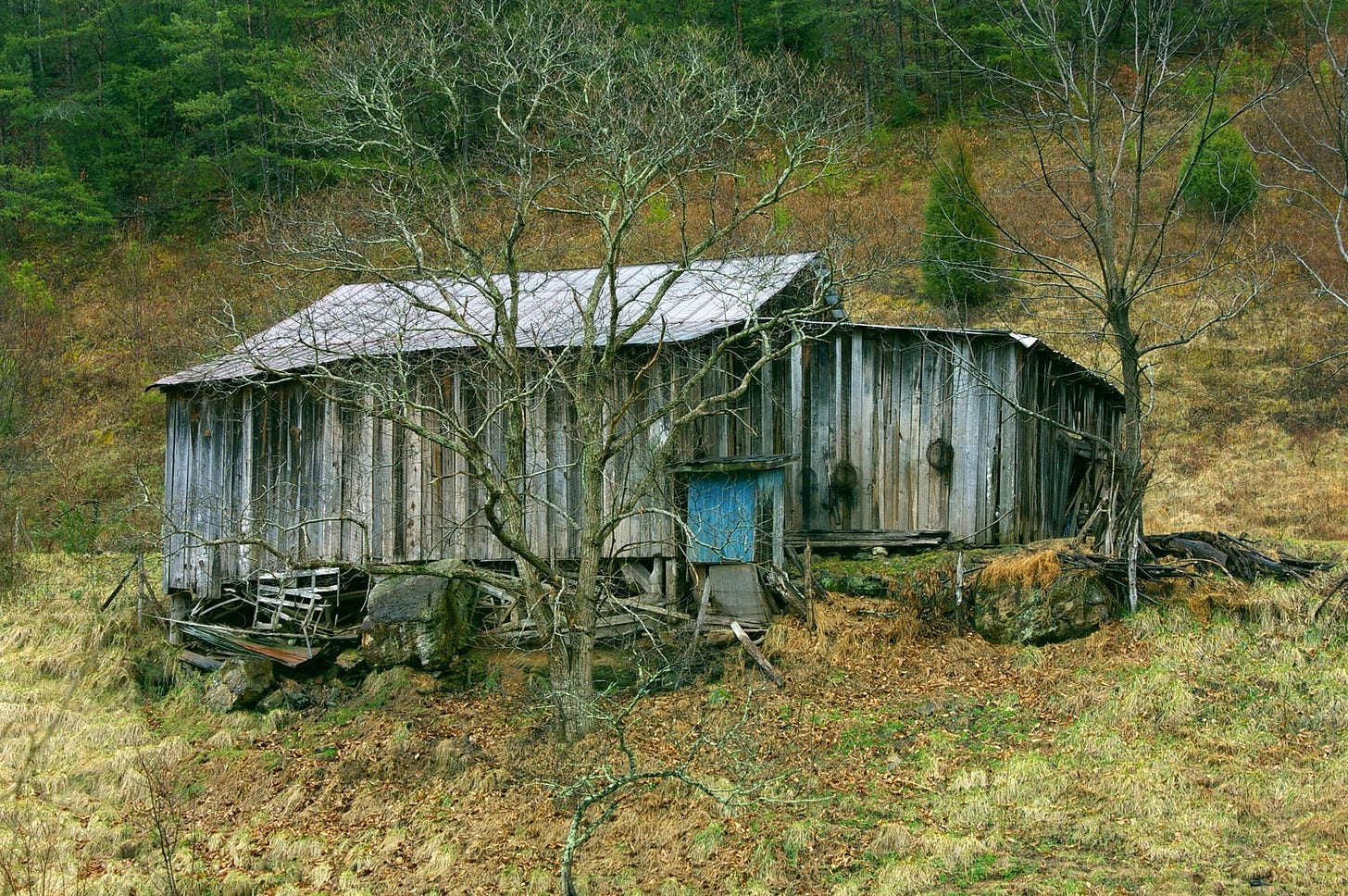 Shack - Wikipedia