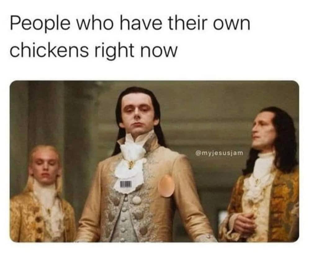 May be a meme of 3 people and text that says 'People who have their own chickens right now @myjesusjam'