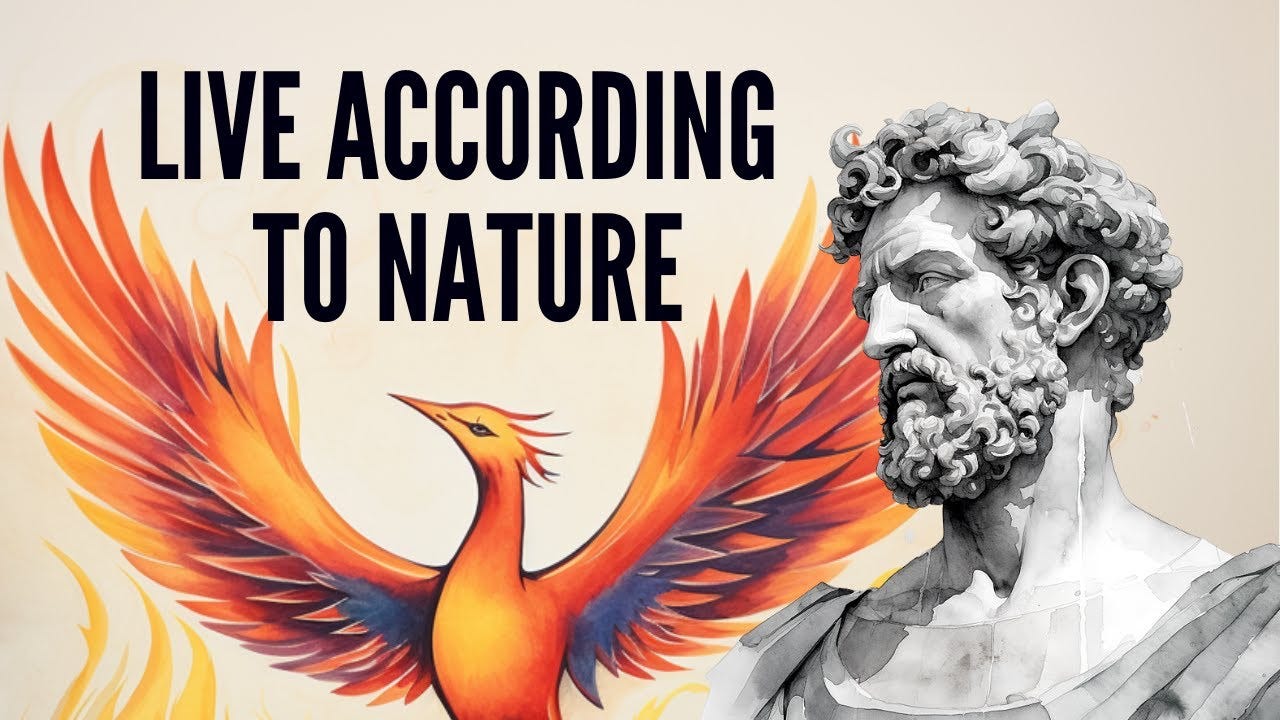 YouTube video by Stoa (Stoic Meditation) YouTube video by Stoa (Stoic Meditation)