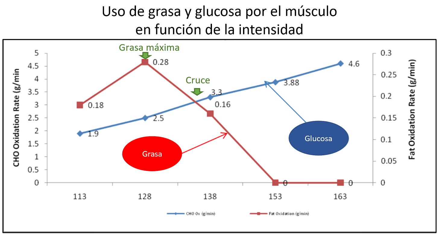 Usod e la grasas y la glucosa per el el músculo en función de la intensidad