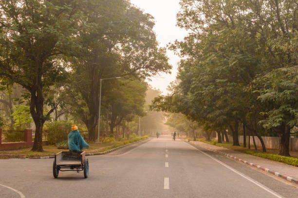 Foggy Morning At The Iit Kanpur Stock Photo - Download Image Now - Bicycle,  Campus, Color Image - iStock