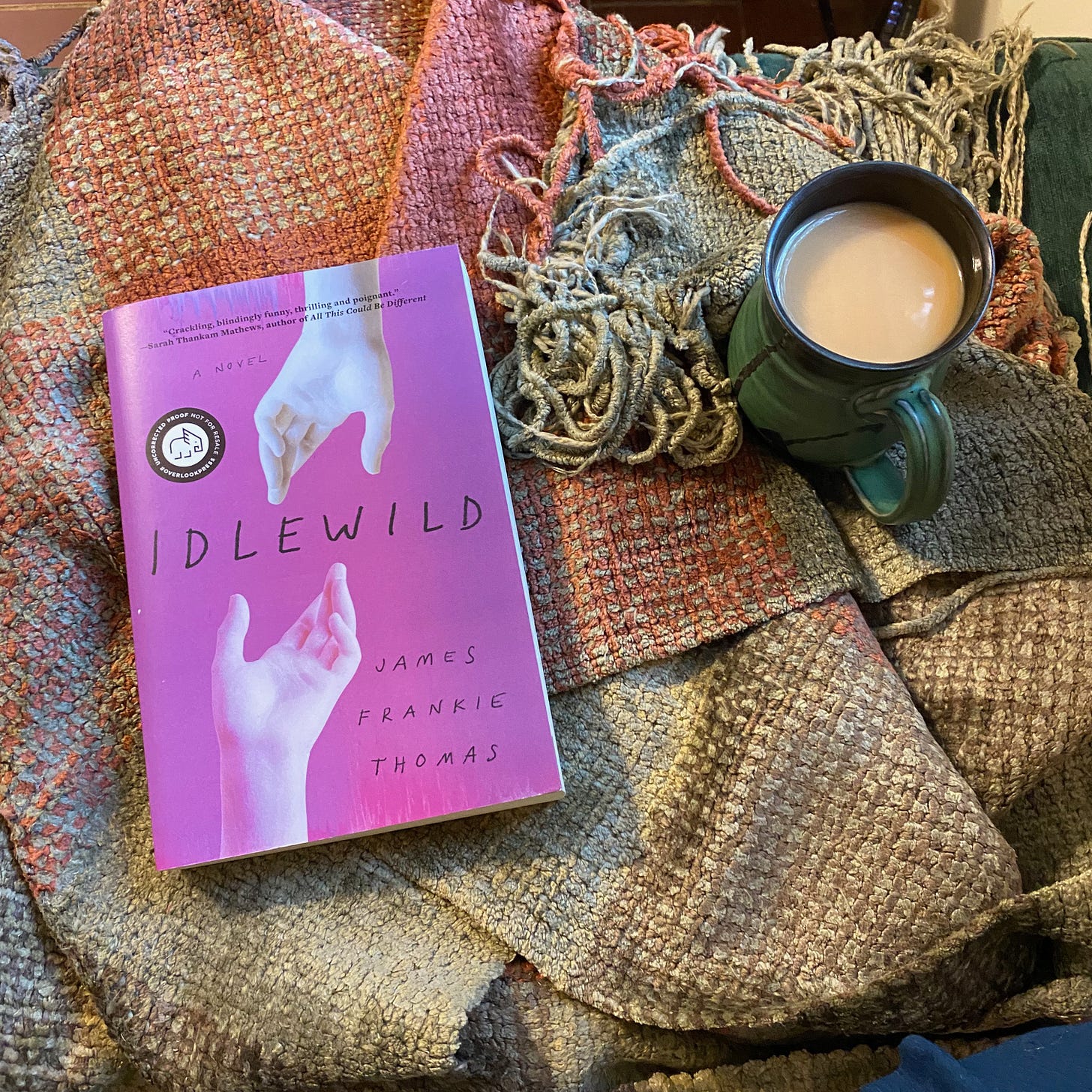 Idlewild on a brown and green blanket next to a ceramic mug of tea.