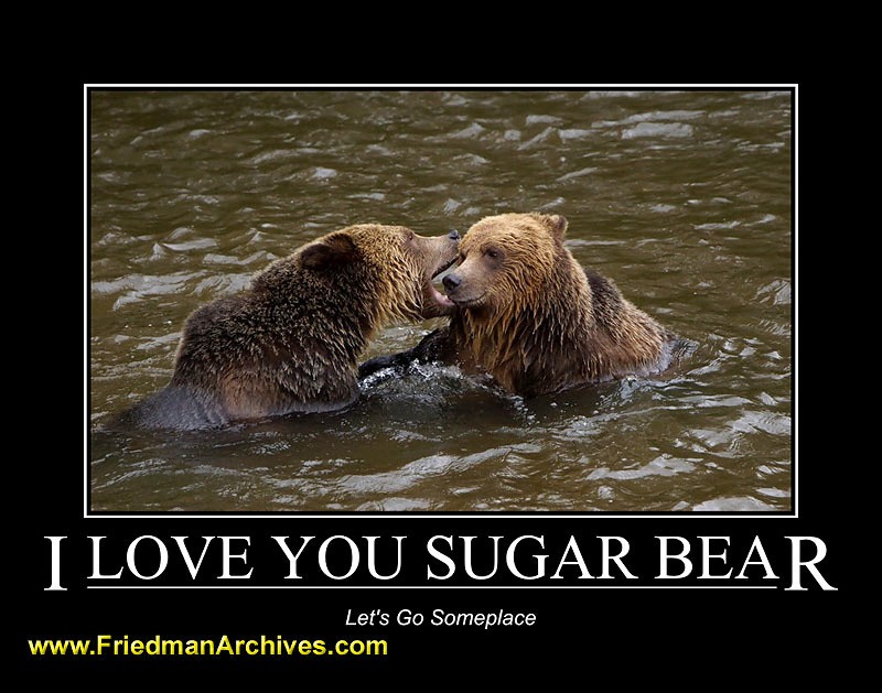 I Love You Sugar Bear