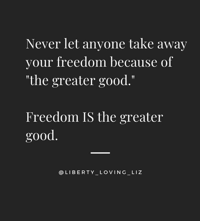 May be an image of text that says "Never let anyone take away your freedom because of "the greater good." Freedom IS the greater good. @LIBERTY_LOVING_LIZ"