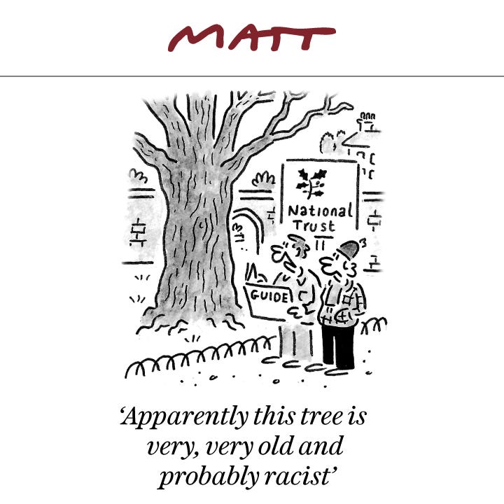 Matt Cartoons on X: "'Apparently this tree is very, very old and probably  racist' ? My latest cartoon for tomorrow's @Telegraph Subscribe to my  weekly newsletter to receive my unseen cartoons: https://t.co/JNDhrYJMFH