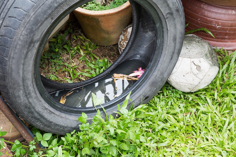 TrashTalkin'Lynn: Get Rid of Mosquito Breeding Old Tires