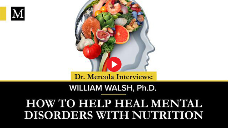 How to Help Heal Mental Disorders With Nutrition - Interview with William Walsh, Ph.D.