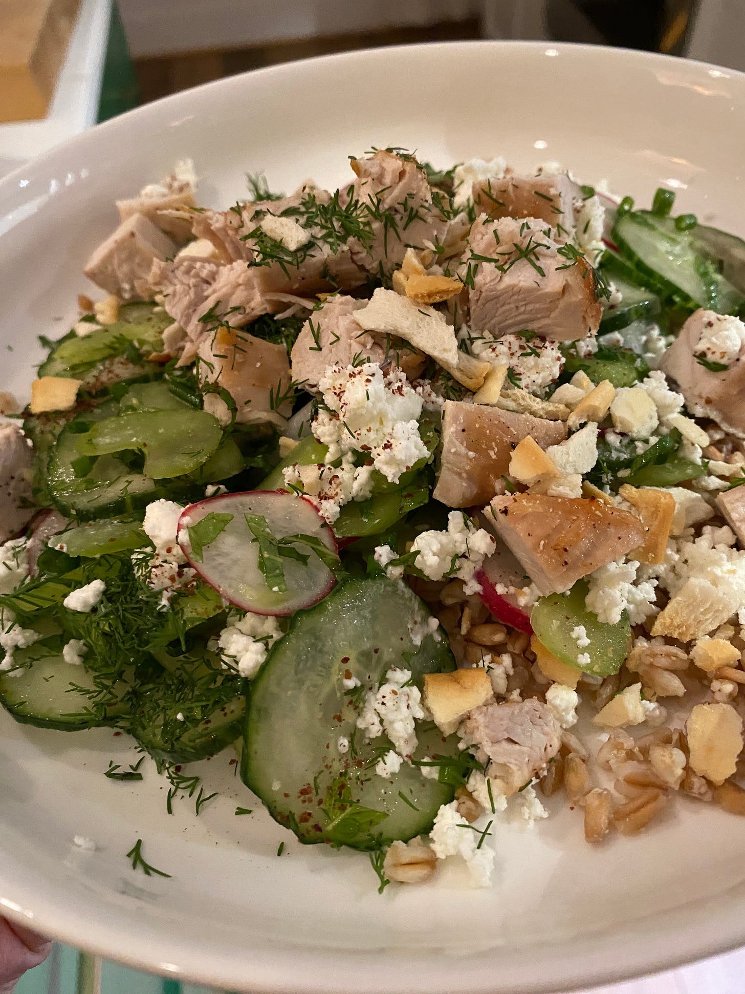 cucumber and radish salad with broiled chicken