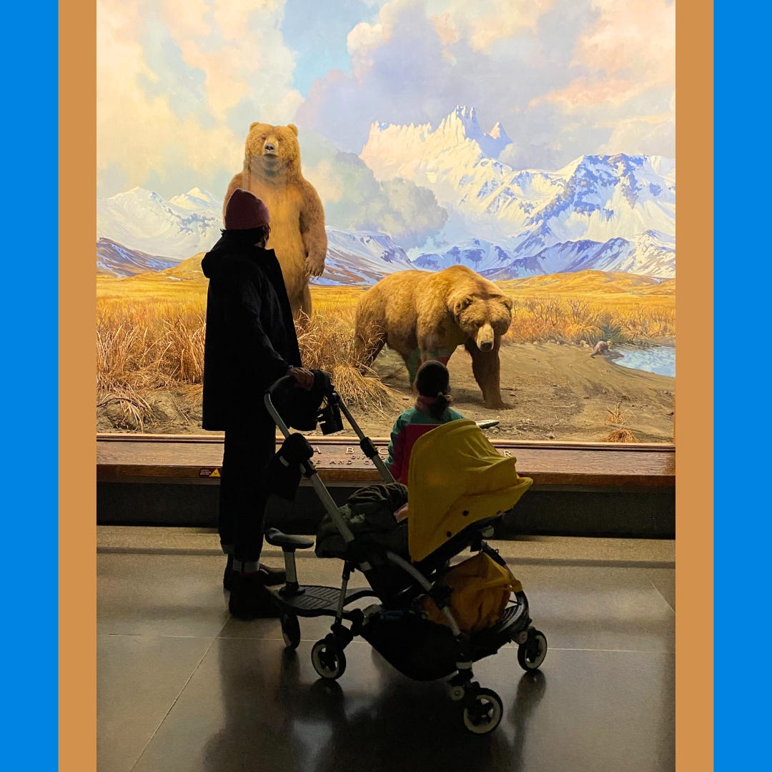 A father stands with his four year old daughter looking at brown bear exhibit at the American Museum of Natural History. They face the bears and the bears face us. The father is pushing a yellow and black stroller with a baby in it.