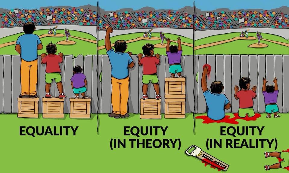 equity vs equality : r/TheRightCantMeme