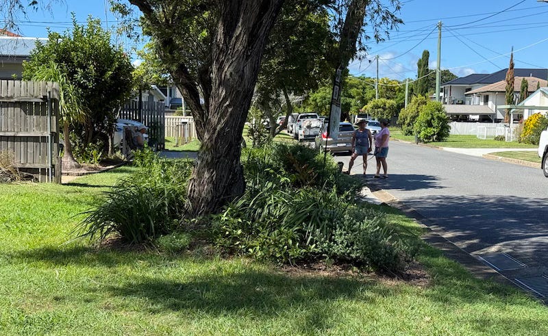 long view of street with central verge garden, path on one side, road on the other