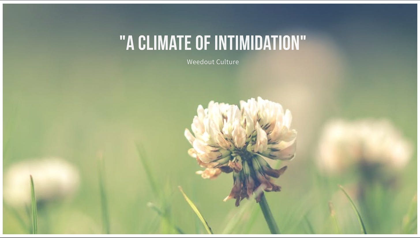 Pretty clover weed background. "A Climate of Intimidation: Weedout Culture"