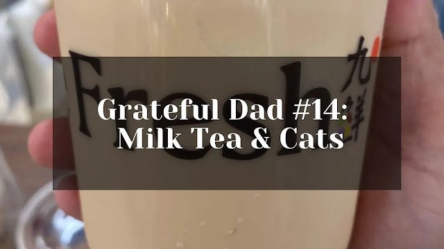 Grateful for milk tea and cats