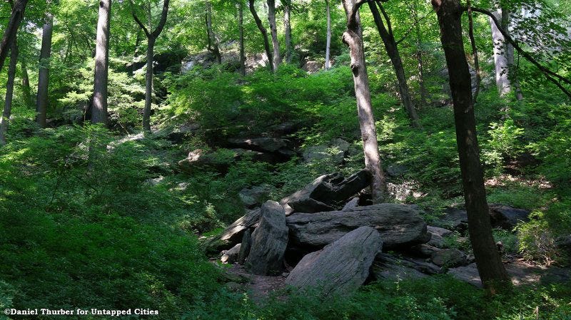 The Top 10 Secrets of NYC's Inwood Hill Park - Untapped New York