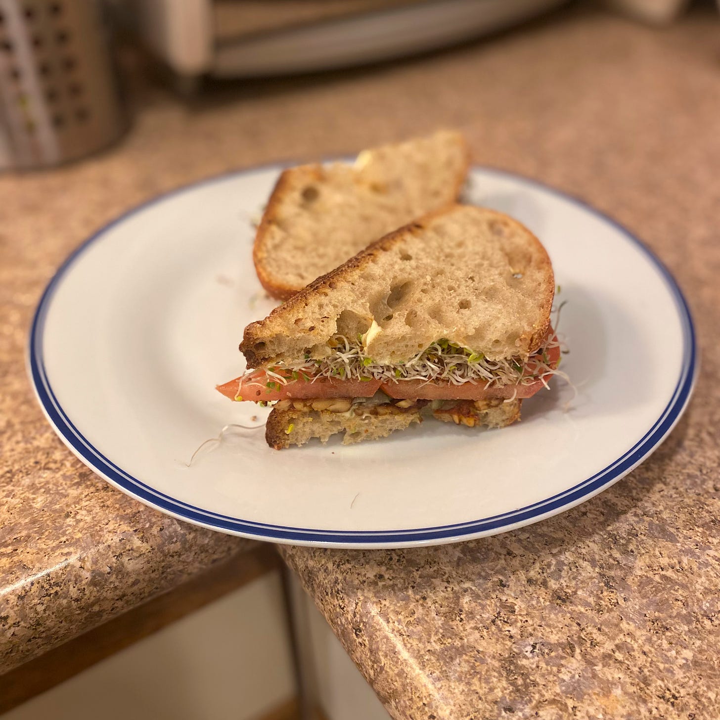 A sandwich, sliced in half, on a white plate with a blue rim. The cut half of the sandwich faces out, and inside is tempeh, tomato, sprouts, and mayonnaise.