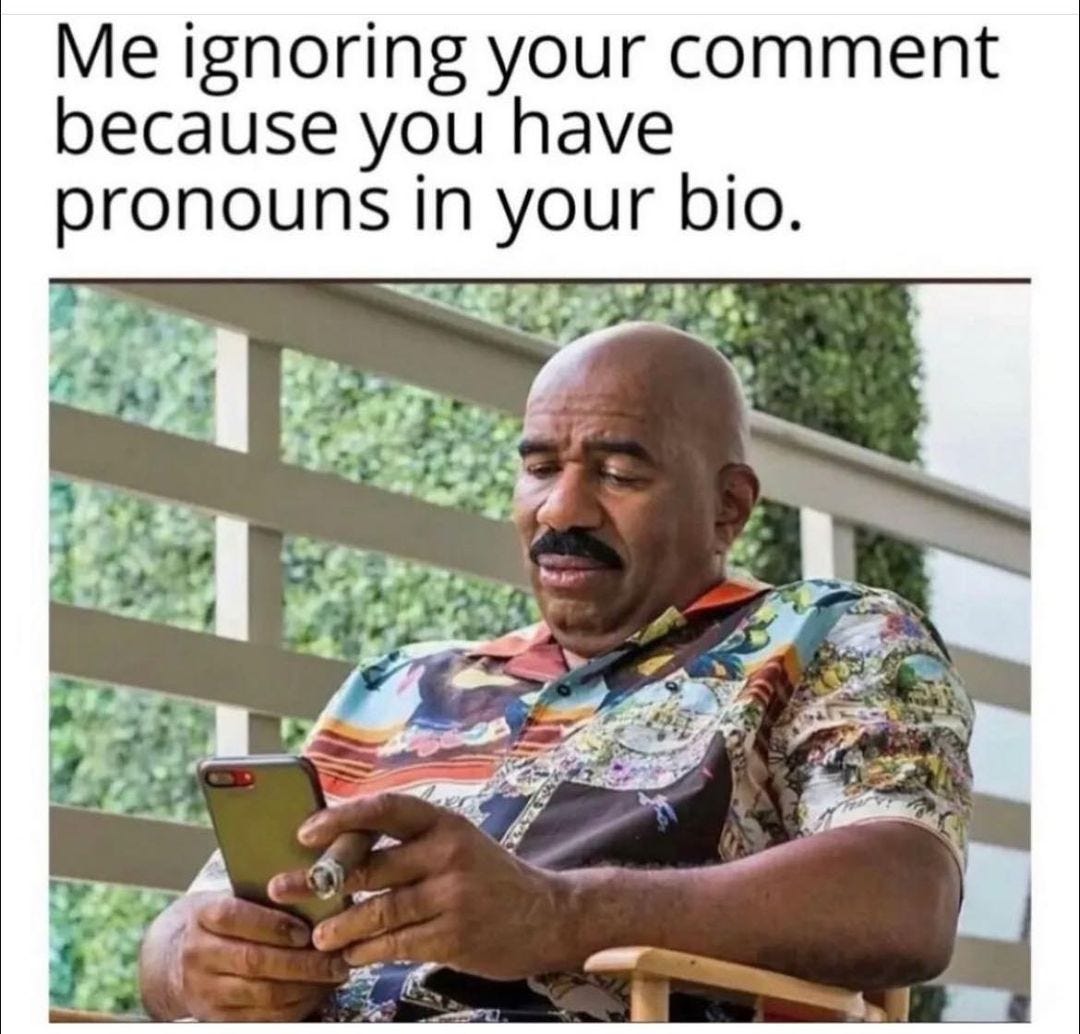 May be an image of 1 person and text that says 'Me ignoring your comment because you have pronouns in your bio.'