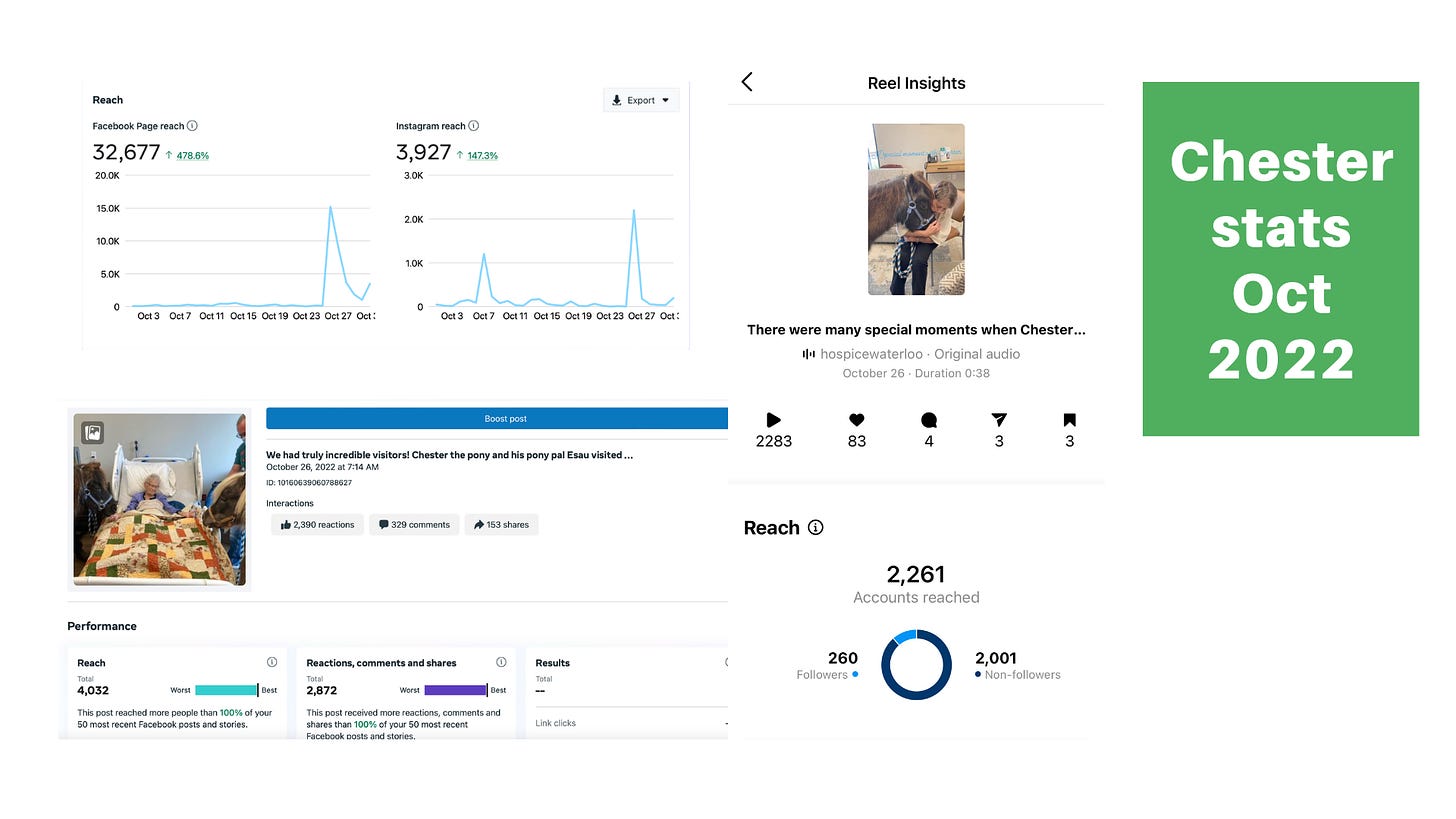 Image of three types of social media metrics for Chester the Pony's visit to HWR